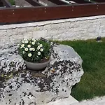 Nonna Rosa * Ματέρα
