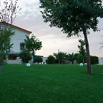 Nonna Rosa