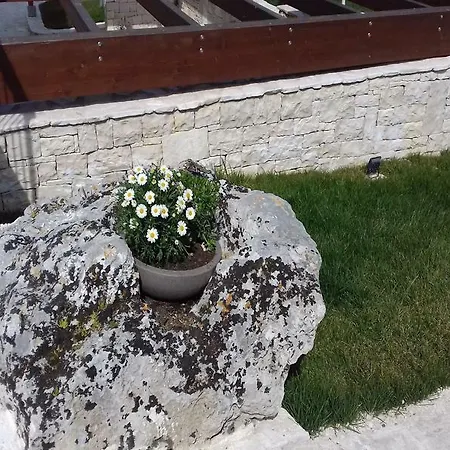 Nonna Rosa Farm stay *